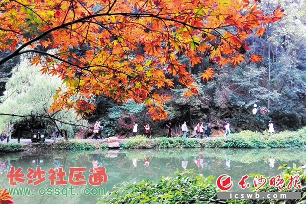 Lɳ½֮ˮҹزӴֲ´ɽ̎ėu׃S׃tǳ_ʼM(jn)뵽һ^pѕr(sh)(ji) Lɳ(bo)ӛ ܰƽ z